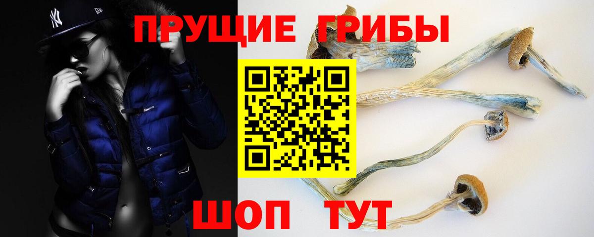 Кушва  Галлюциногенные грибы Psilocybine cubensis  Псилоцибиновые грибы прущие грибы  Вход с VPN 